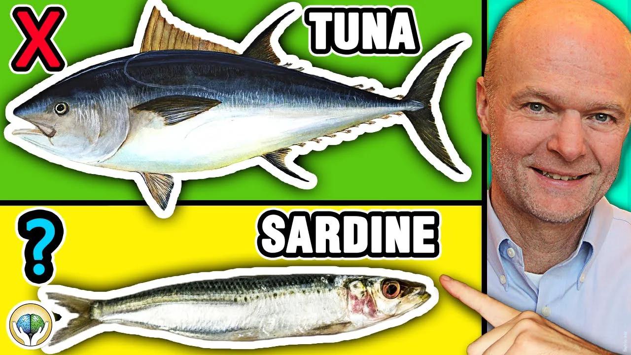 Top 5 Best Fish You Should NEVER Eat & 5 Fish You Must To Eat