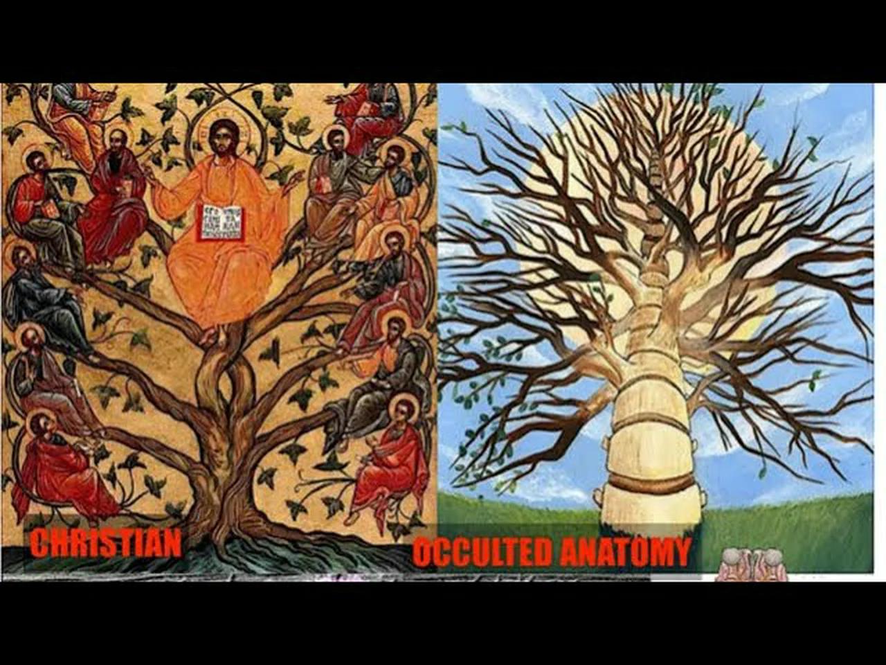 Esoteric Symbolism of Christ Brain Anatomy- cullen smith Lifting The Veil