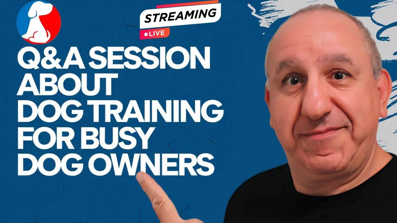 Saro Dog Training Spills All the Secrets!