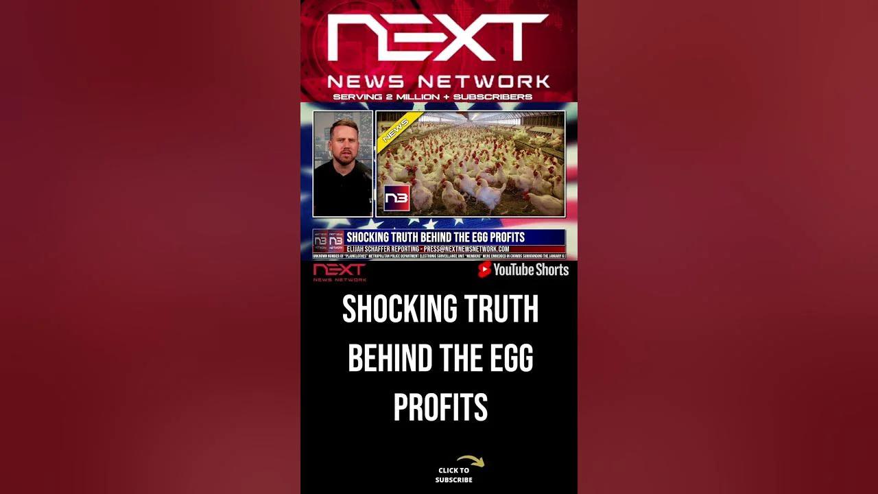 Shocking Truth Behind the Egg Profits shorts