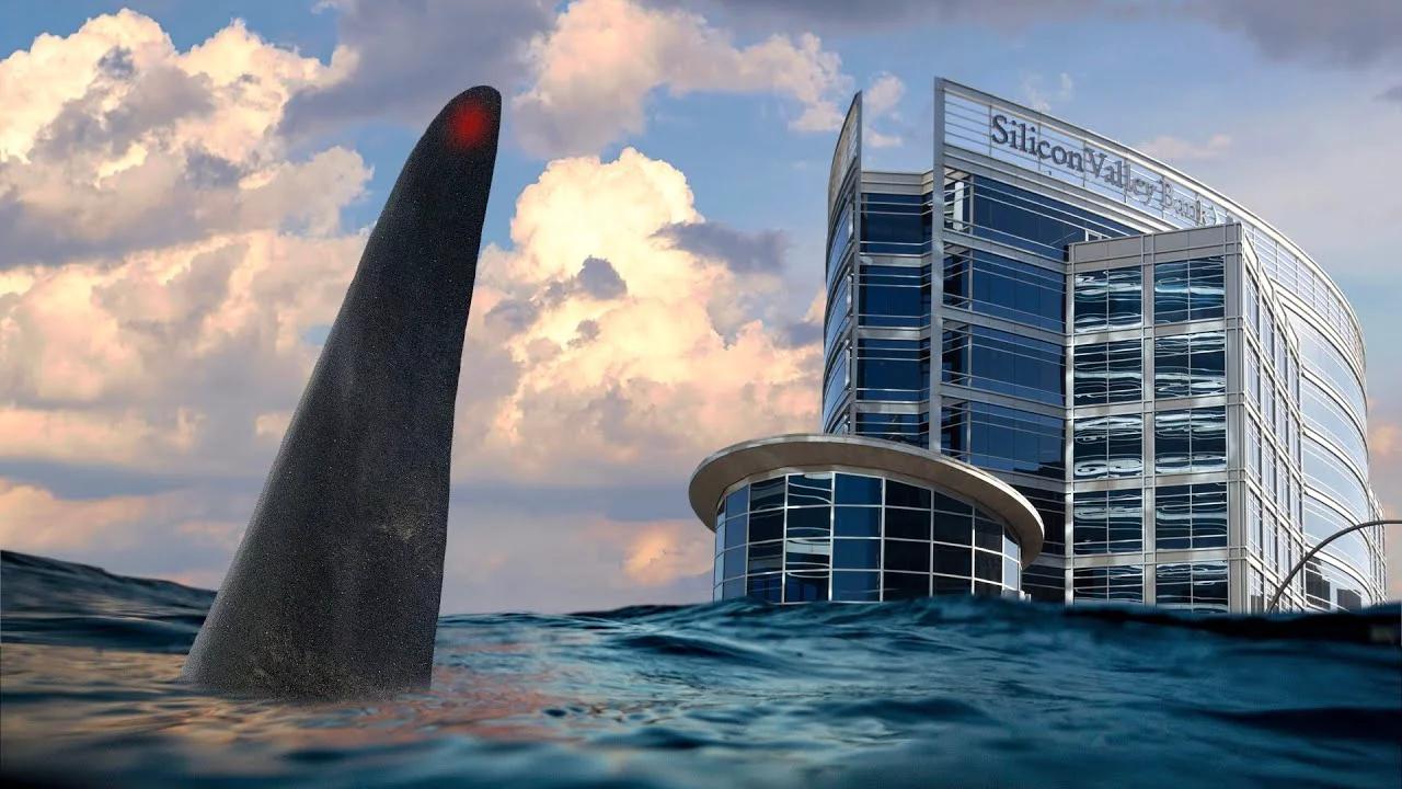 Deep Diving The Fed S Killer Whale Crisis