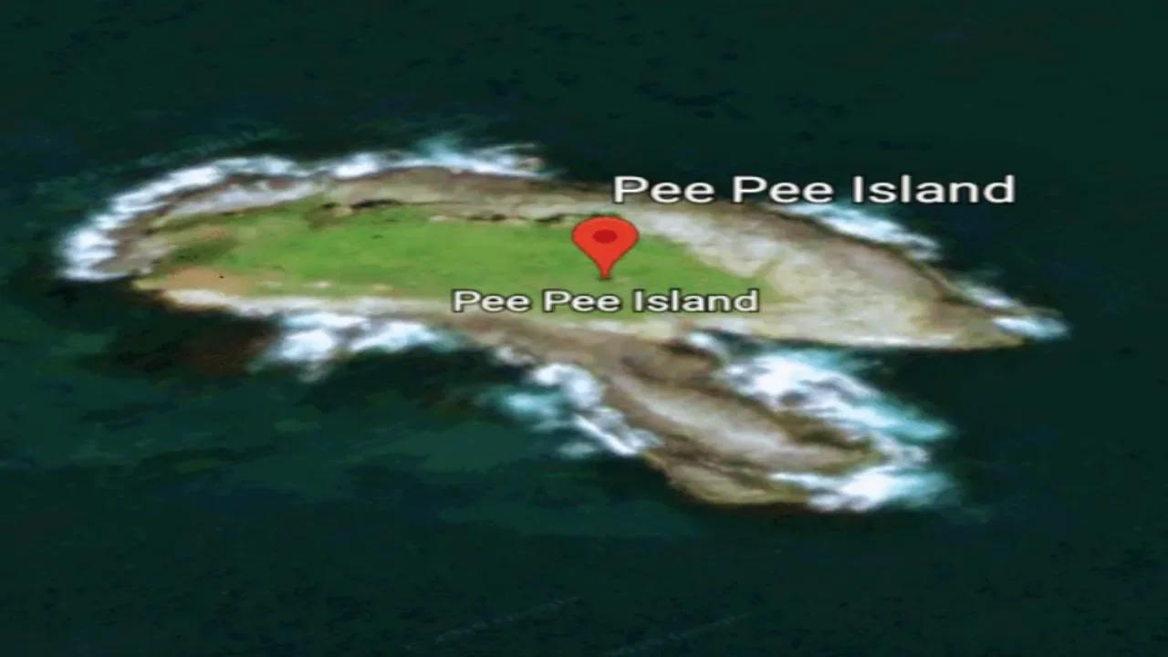 Pee Pee Island on Google Maps Speedrun World (Any) 01018 Totally