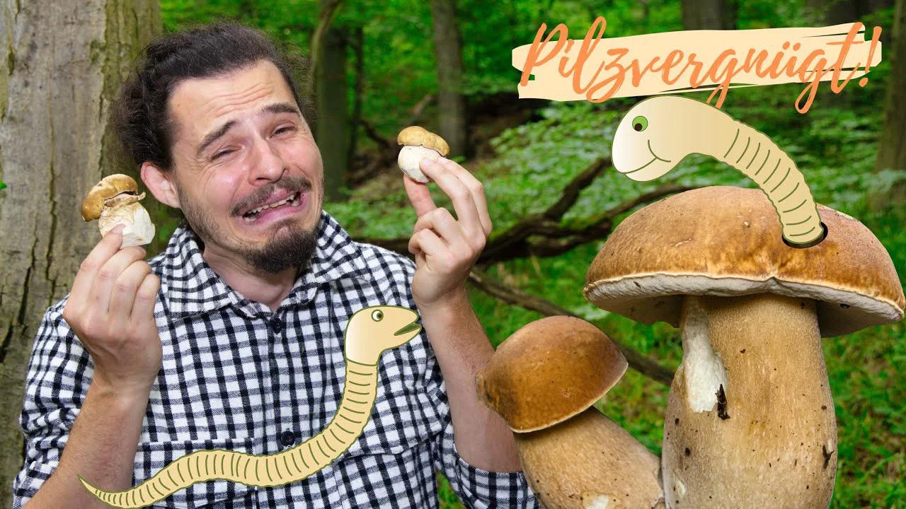 Was machen mit MADIGEN Pilzen 🤔 ab in die Pfanne oder in die Tonne damit?