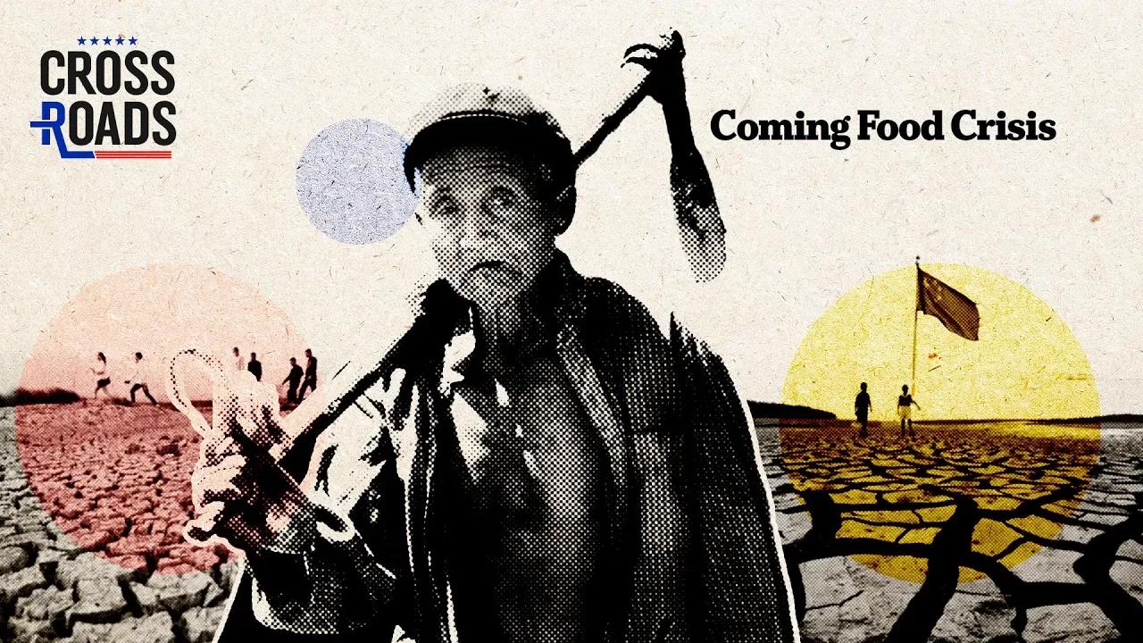 how-bad-is-china-s-new-food-crisis-trailer-crossroads