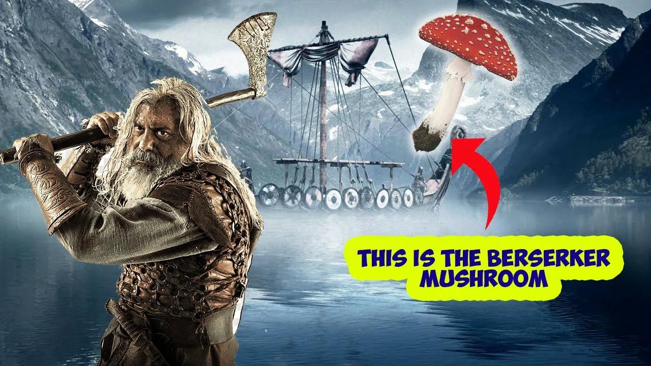 3 INTERESTING FACTS ABOUT THE VIKINGS intelligence overview