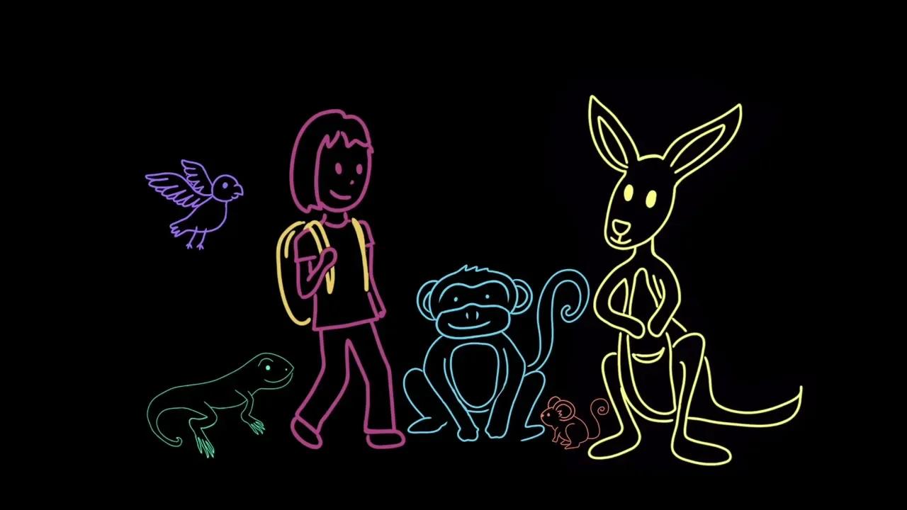 Evidence Of Evolution Embryology Evolution Middle School Biology