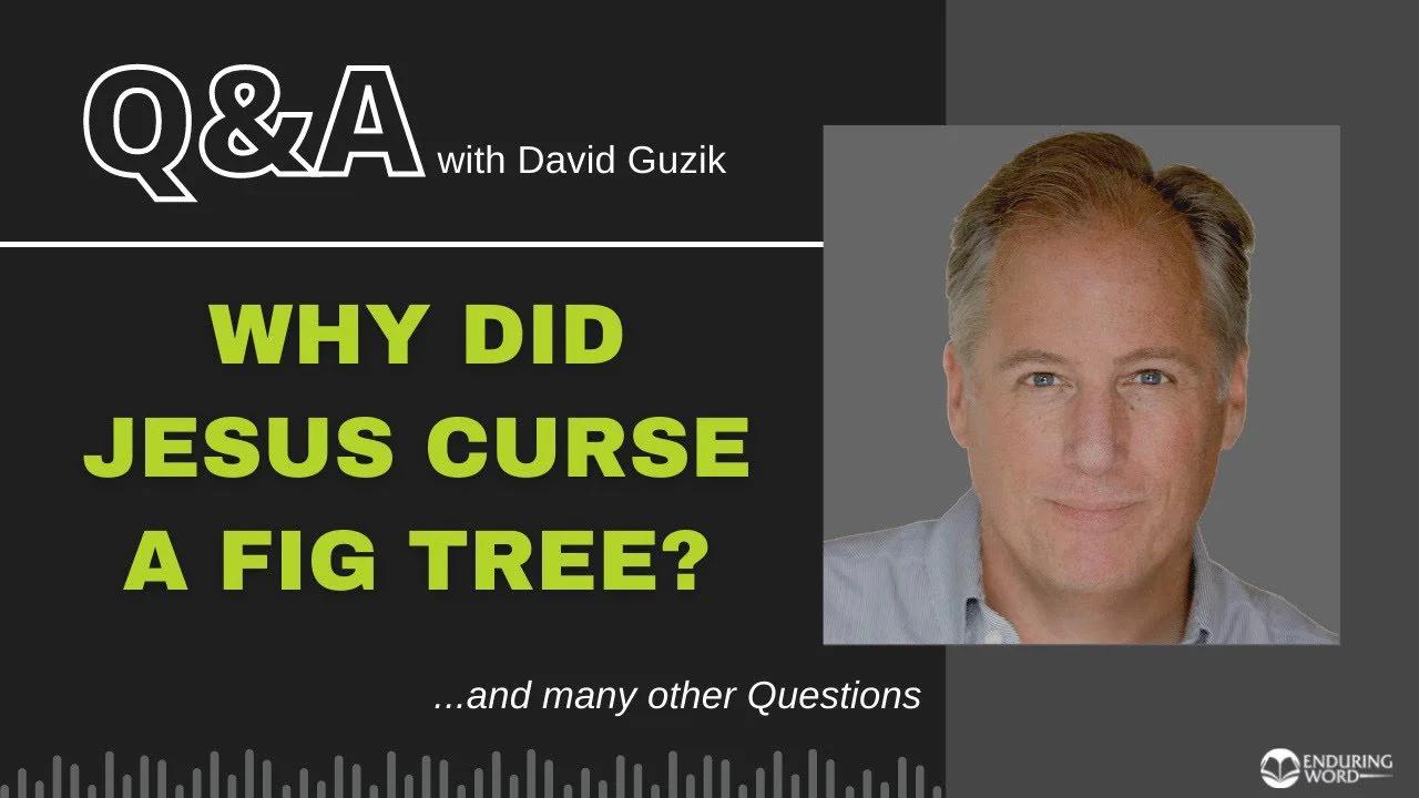 Why Did Jesus Curse A Fig Tree