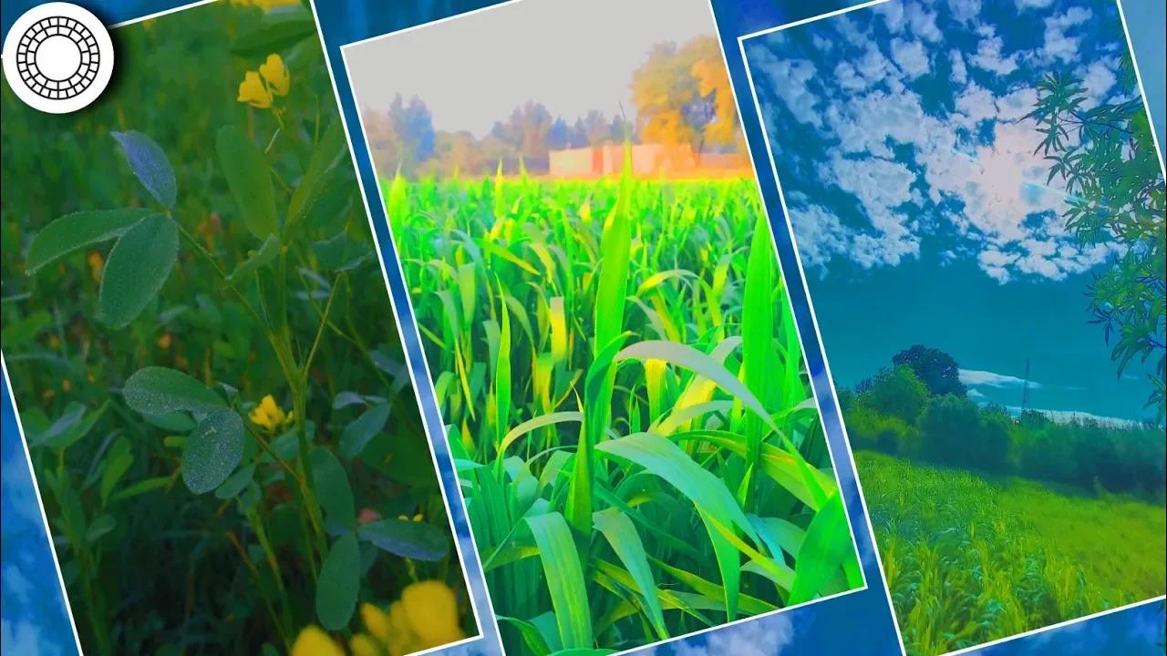 Nature Photo editing like professional | Natural photo editing | Vsco ...