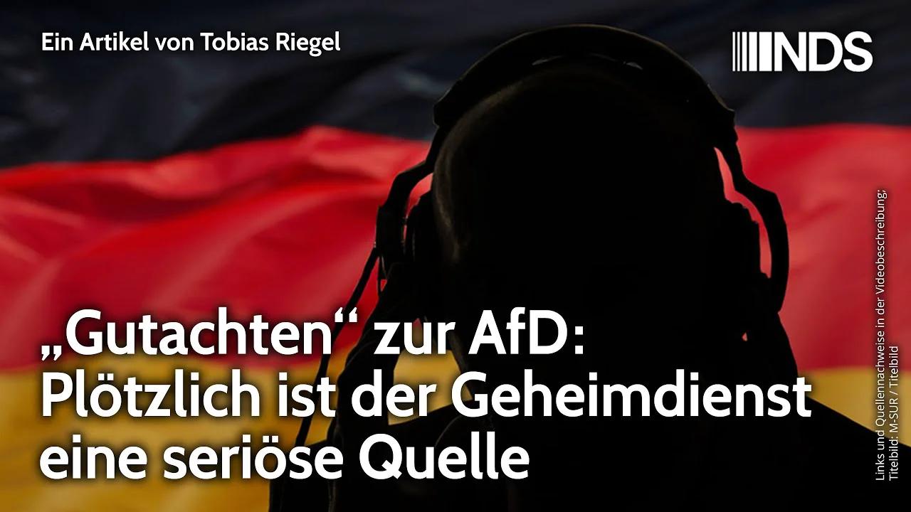 Gutachten Zur Afd Plötzlich Ist Der Geheimdienst Eine Seriöse Quelle