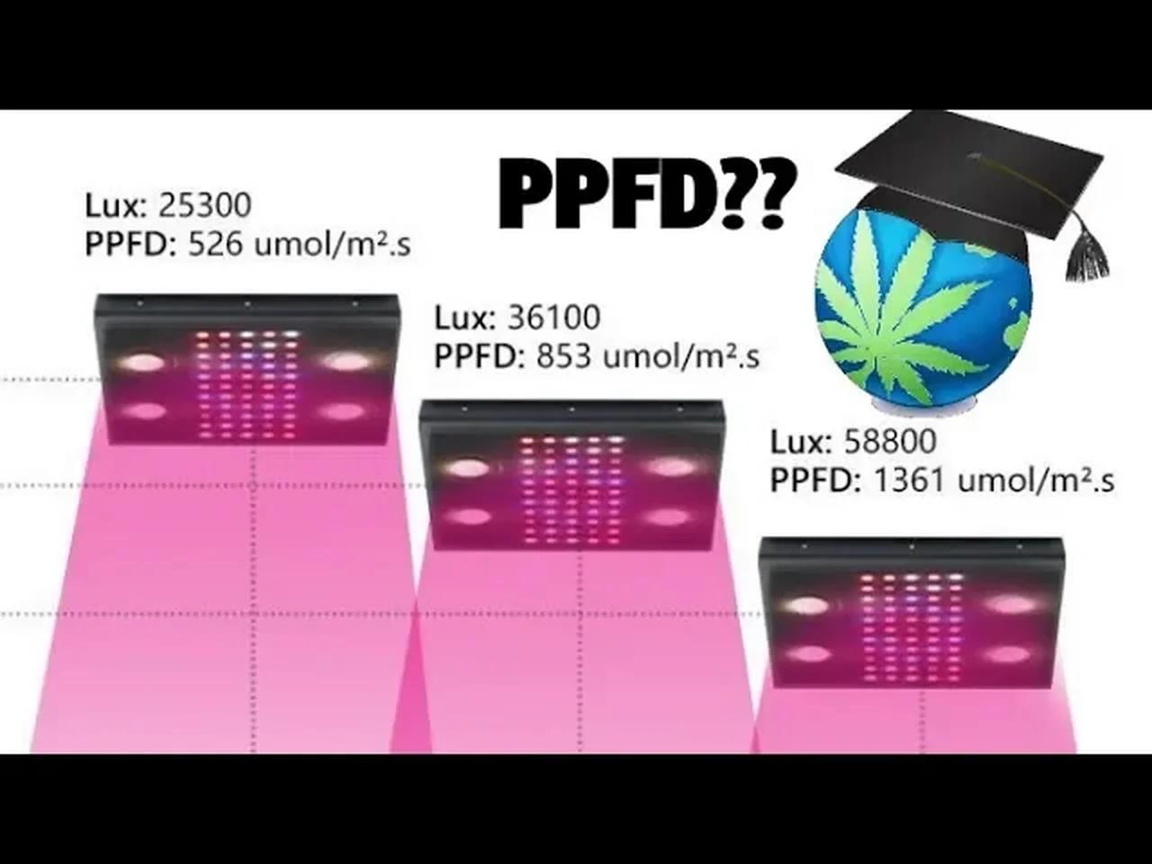 How Much PAR Do Cannabis Plants Need? - Understanding PPFD & PAR