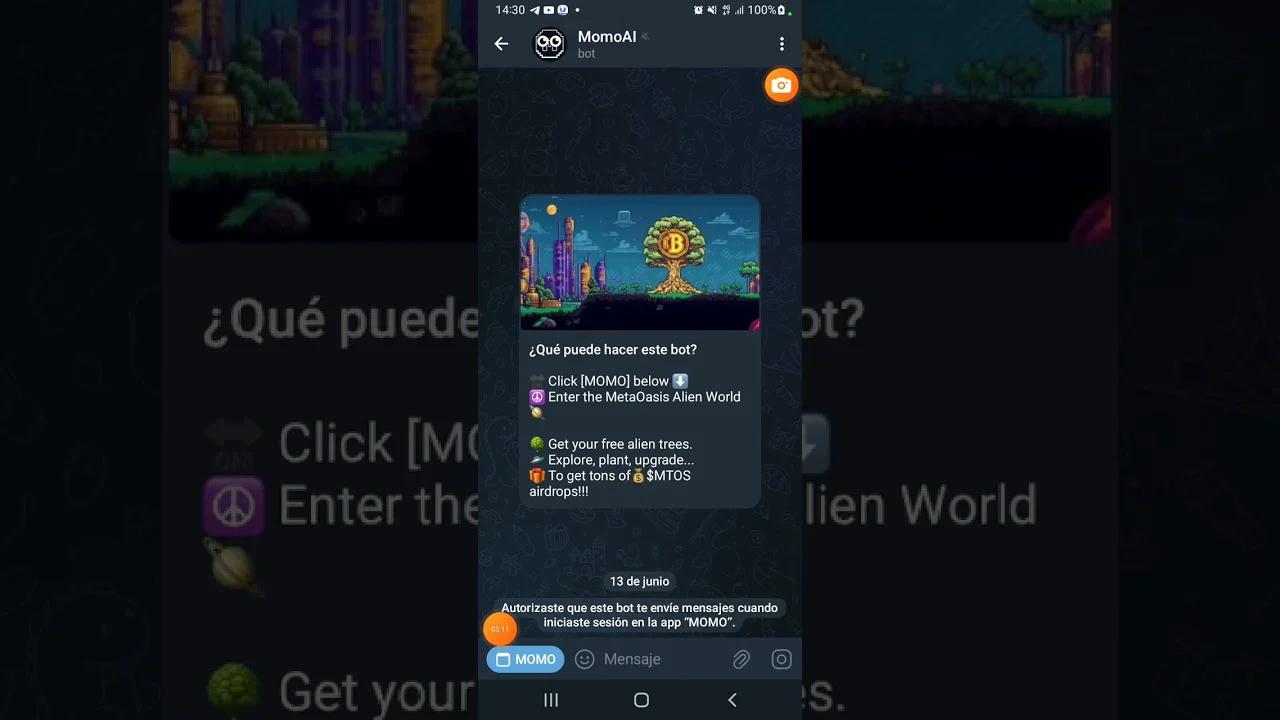 MOMO AI 🔥🤑🔥NUEVO BOT DE TELEGRAM TRABAJANDO EN RED DE TON Y SOLANA🔥🤑🔥