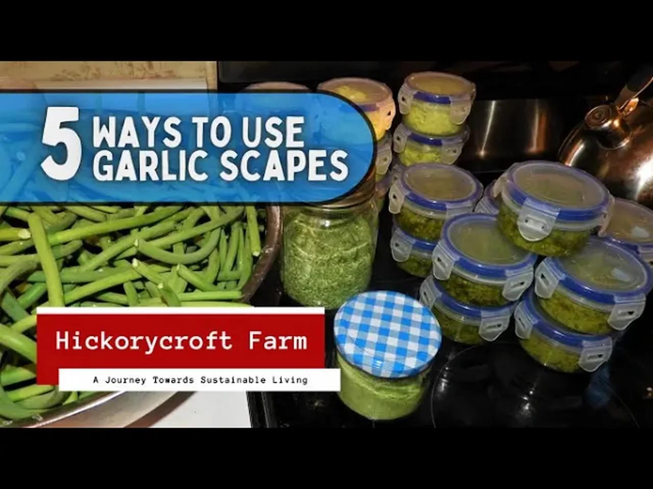 Five Ways To Use Garlic Scapes