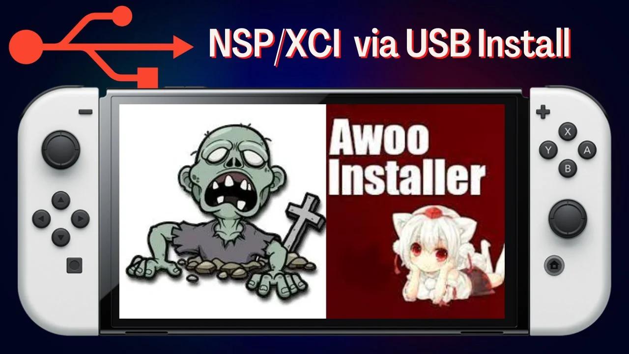 AWOO/TINWOO NSP via USB INSTALLATION Guide/Tutorial [SEP 2022] switch