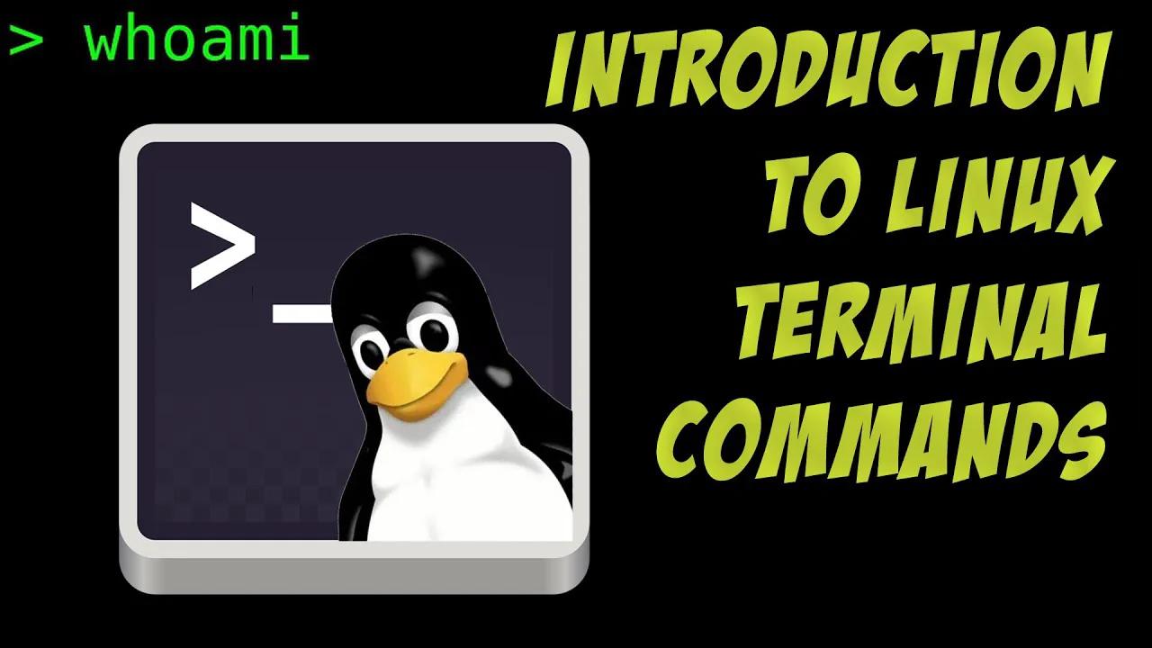 Introduction to Linux Terminal Commands