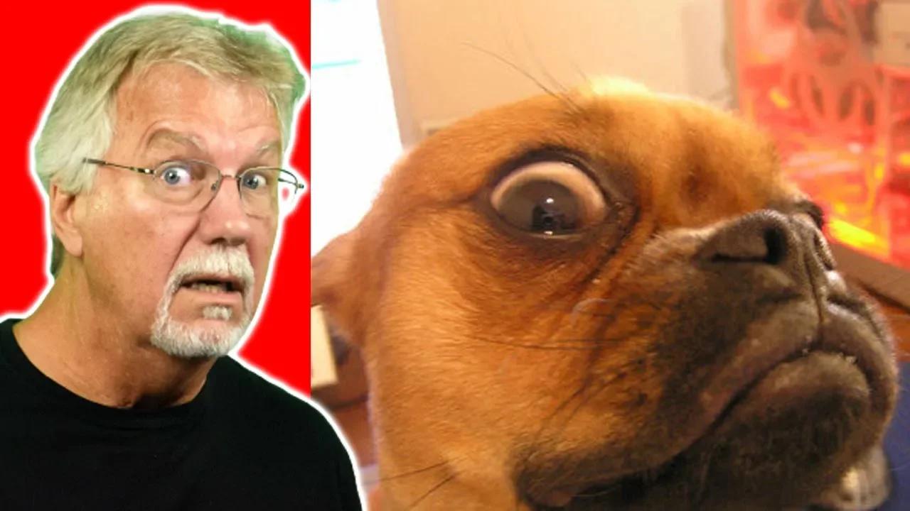 Funniest Tiktok Reaction Part 4