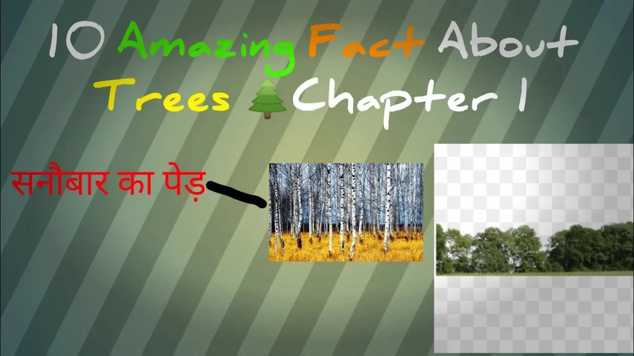 10 Amazing Fact About Trees Chapter 1 | पेड़ों से जुड़े 10 मज़ेदार तथ्य ...