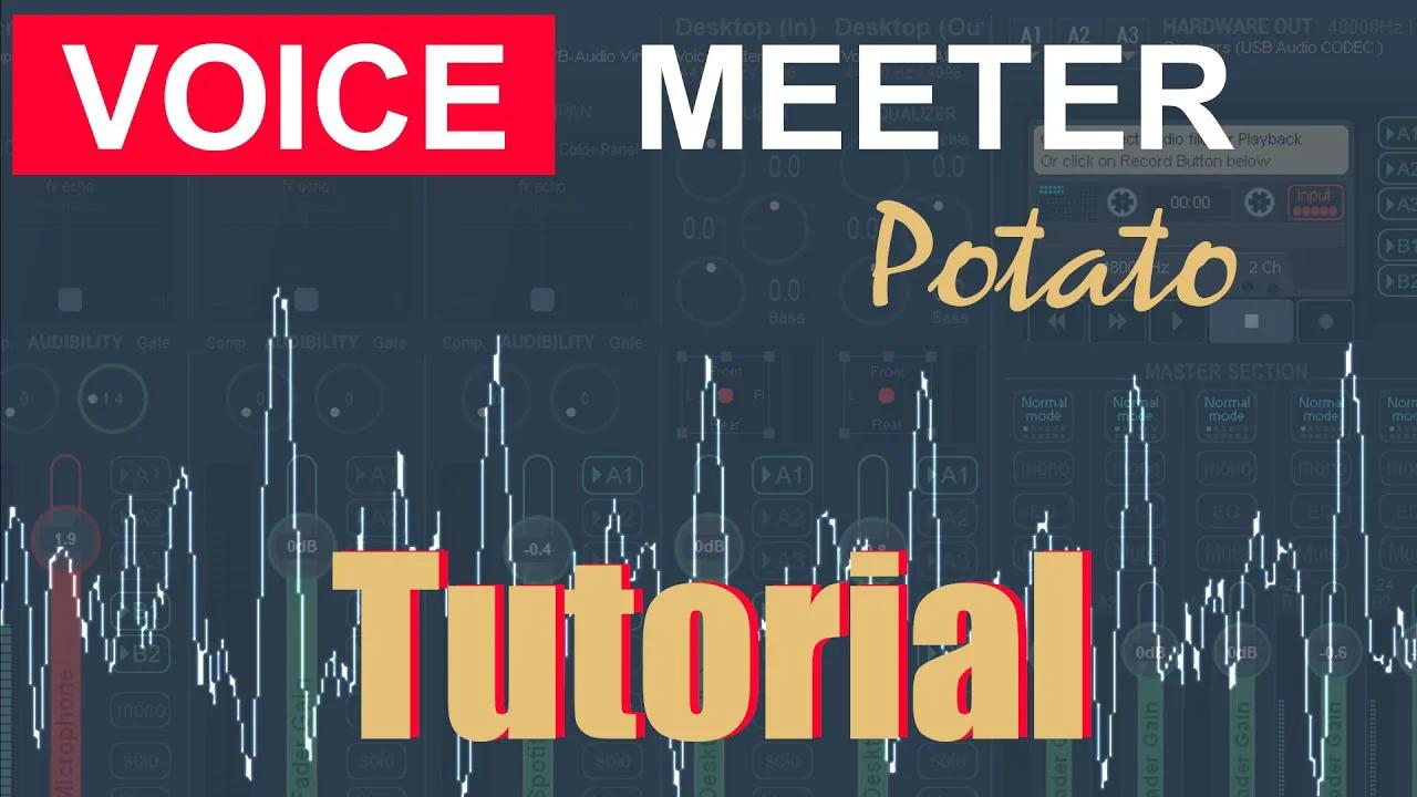 How to set up Voicemeeter Potato