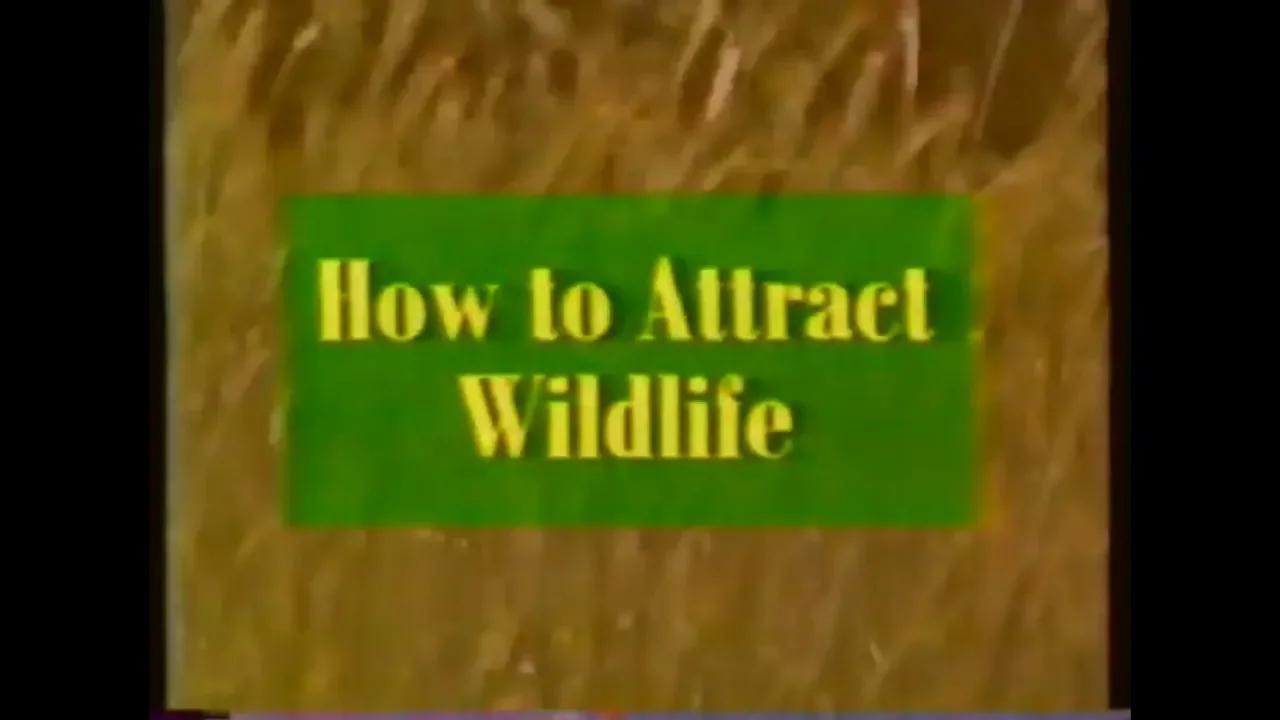 Gardening Naturally S01E18 How to Attracting Wildlife