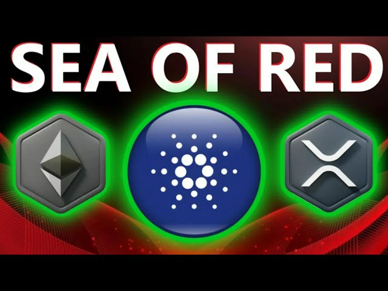 CARDANO 