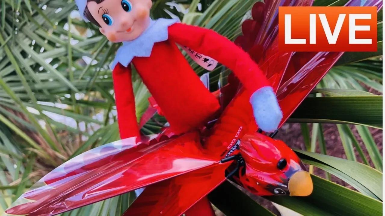 ELF CAUGHT FLYING!
