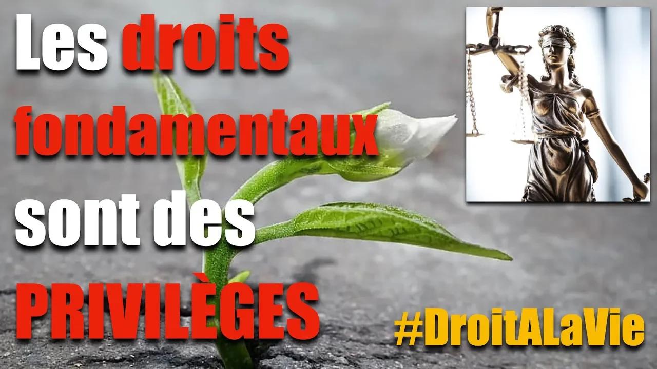 Les droits fondamentaux sont des PRIVILÈGES #DroitALaVie