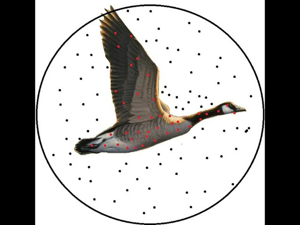 10-gauge-devastator-bismuth-patterning-range-day-v-log