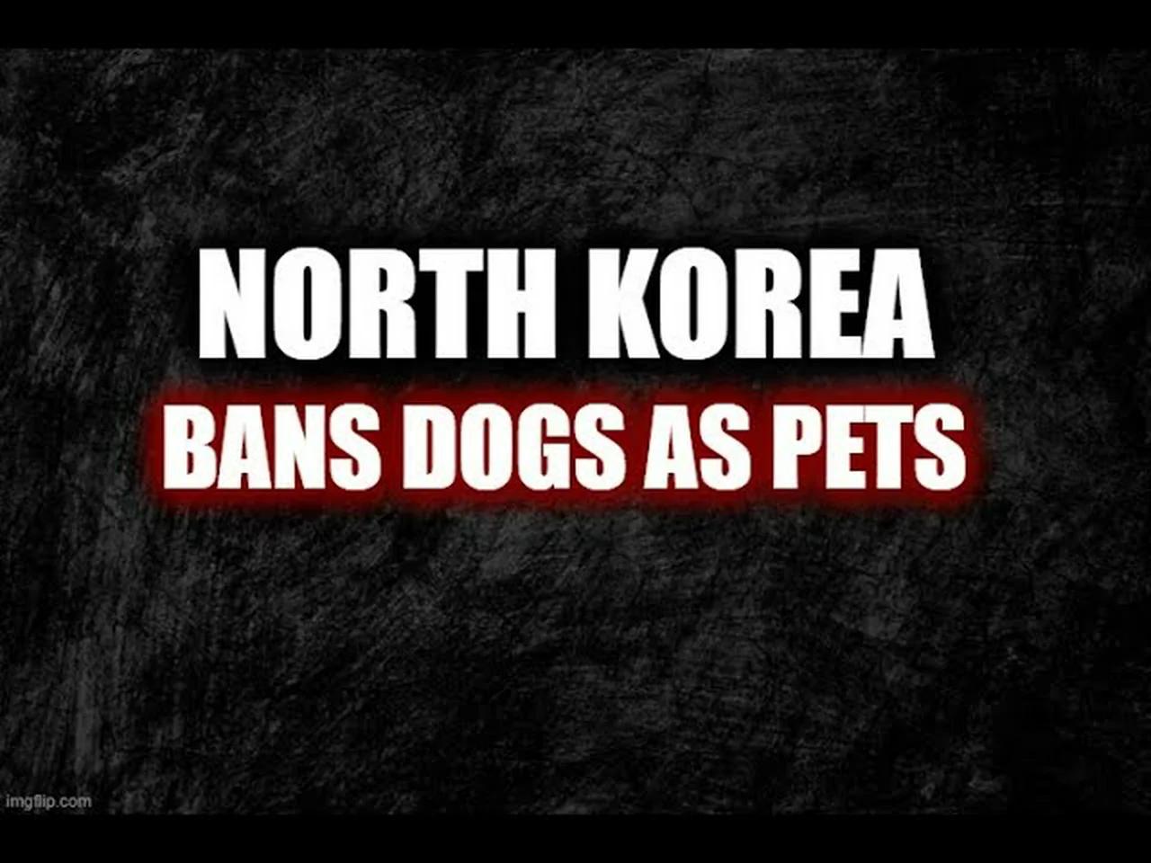 North Korea Bans Dogs As Pets!