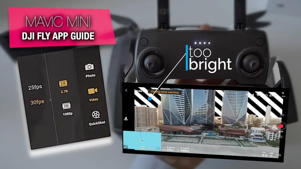 DJI Fly App for Mavic Mini Walkthrough and Best Camera Settings Explained