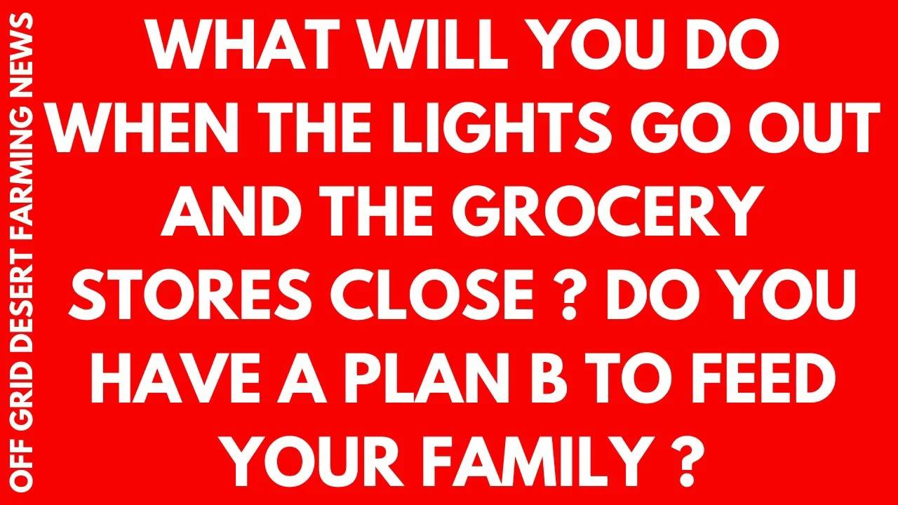 WHAT WILL YOU DO WHEN THE LIGHTS GO OUT & THE GROCERY STORES CLOSE? DO
