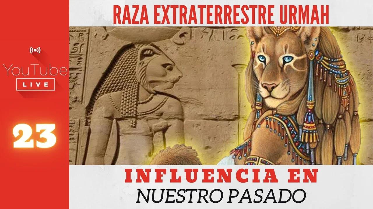 INFLUENCIA EN NUESTRO PASADO DE LA RAZA FELINA URMAH - HISTORIA ANTIGUA ...