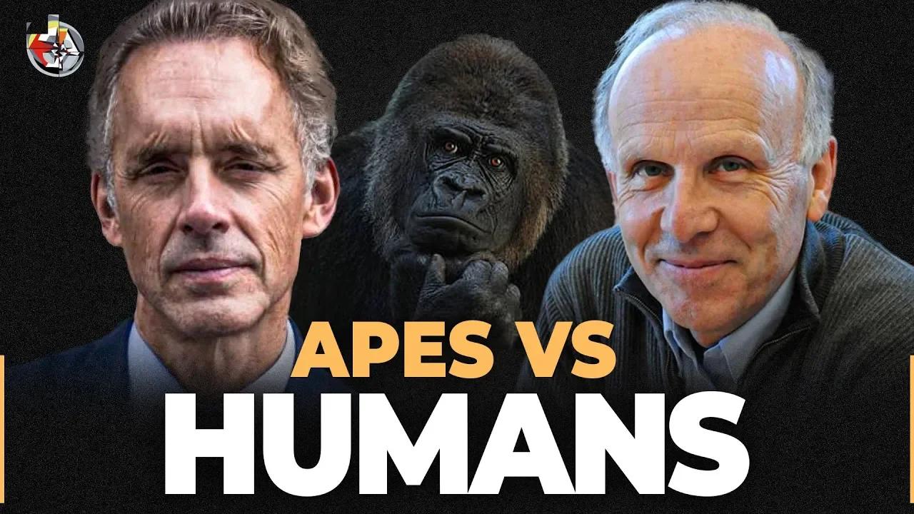 apes-and-the-origins-of-human-violence-dr-richard-wrangham-jordan