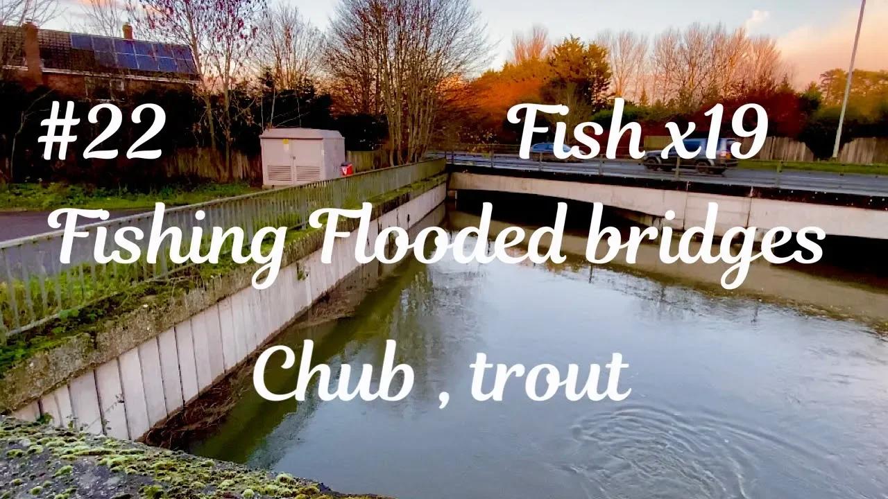 Fishing Flooded Bridges Norfolk Suffolk UK Catching Fish Chub & Trout ...
