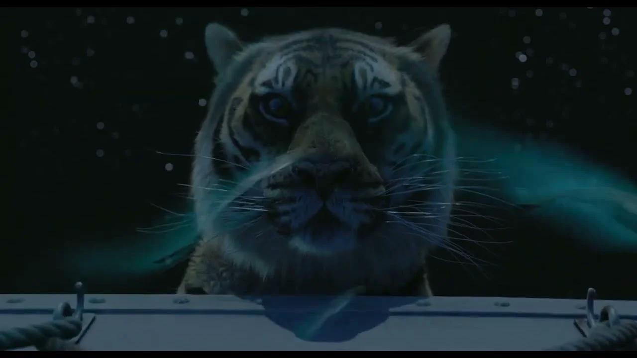 Life Of Pi - Tiger Reflection