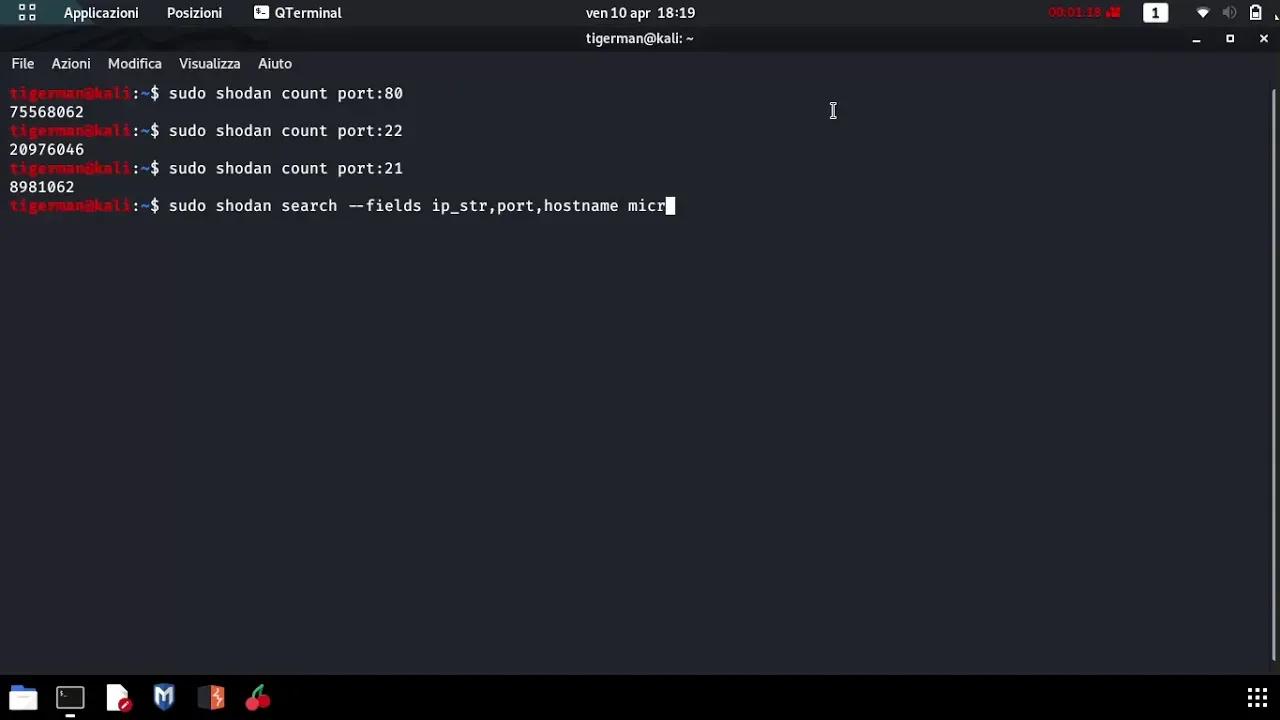 Shodan commandline Kali Linux 2020 Information Gathering Ethical