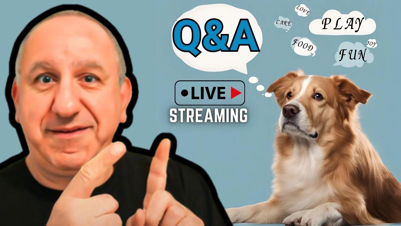 Beginners Guide To Basic Dog Training By Saro Dog Training Live Q&A