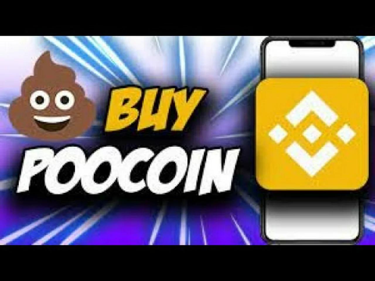 Poocoin tutorial completo para analizar criptomoedas novas.
