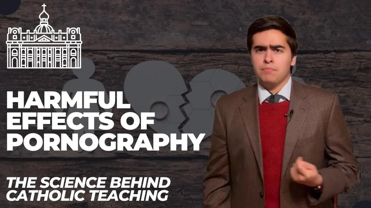 Pornography, the Theory main image 1