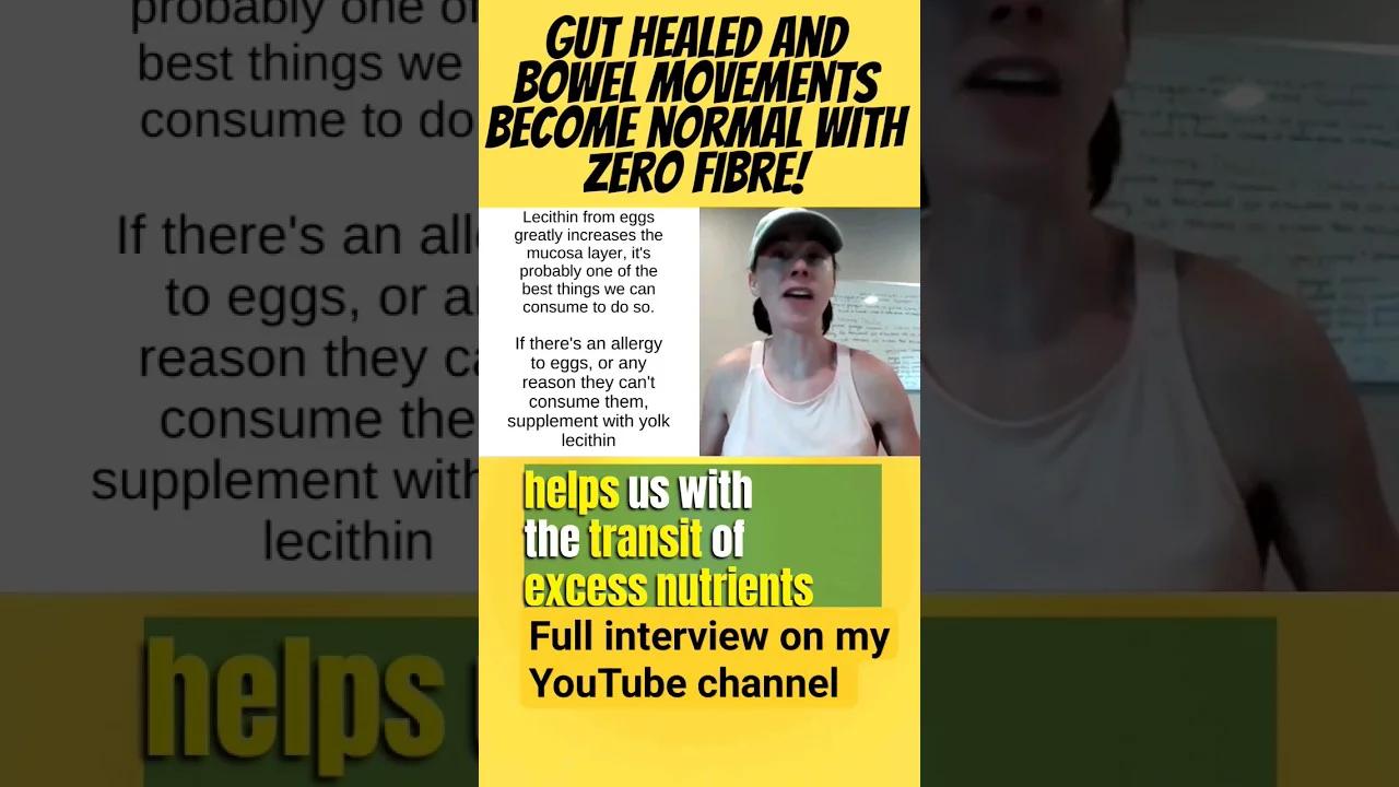 Gut healed with ZERO FIBRE and meat healing diet #carnivorediet #health