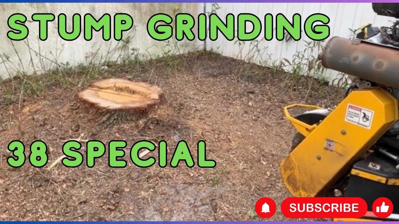 From Stumps to Compost: Florida Food Forest Hack