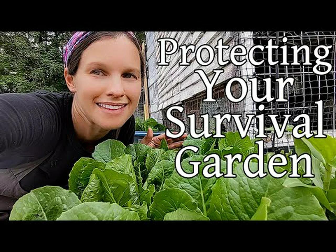 protecting-your-survival-garden-may-garden-tour-2022-epic-container