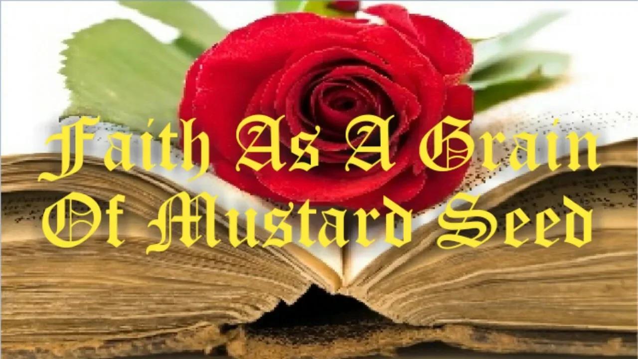 faith-as-a-grain-of-mustard-seed-esoteric-illuminated-bible-lessons