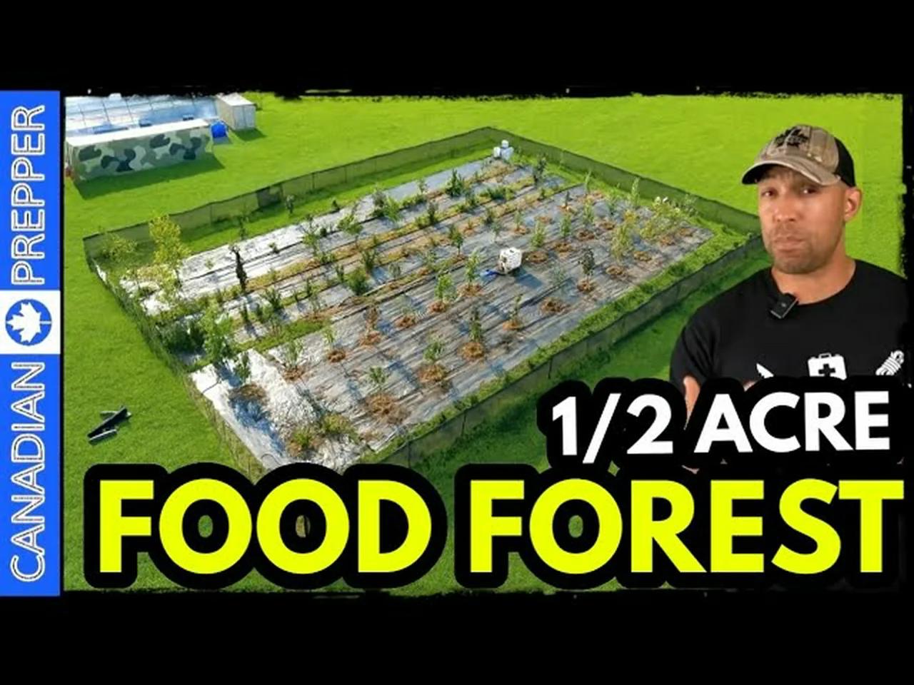 How To Build A Survival Food Forest 1 Year Progress