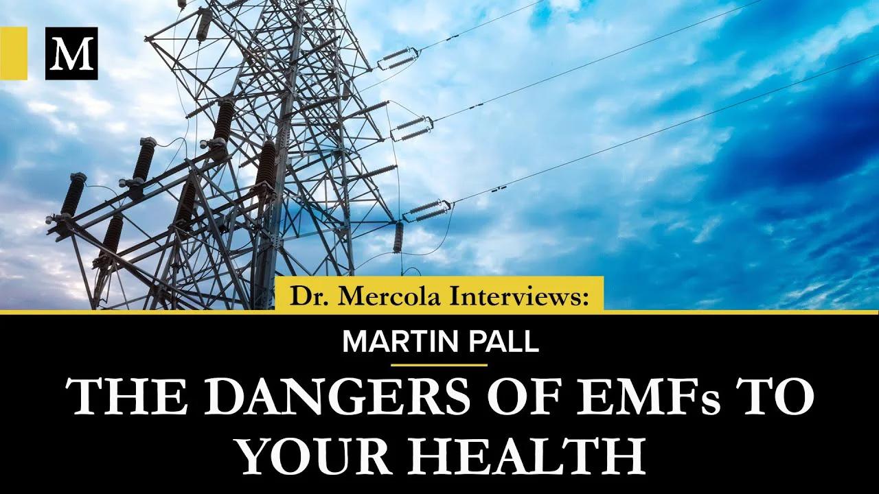 The Dangers of EMFs to Your Health – Interview With Martin Pall