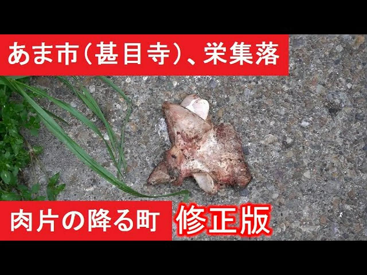 【肉片の降る町】愛知県あま市、栄地区（旧甚目寺、東今宿部落）【修正版】