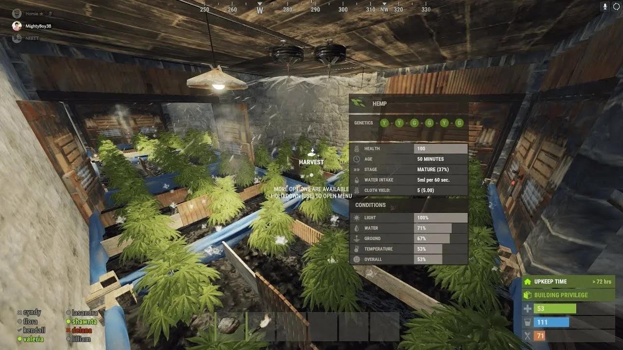 Solo Hemp Farm Base Setup || RUST