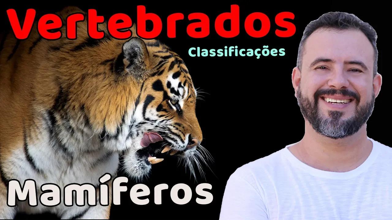 VERTEBRADOS | Mamíferos | Classificações | Prof. Daniel Fernandes #enem ...