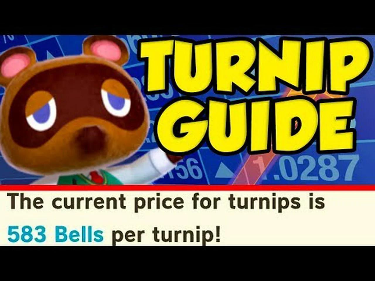 ULTIMATE Animal Crossing New Horizons Turnip Guide! Animal Crossing New