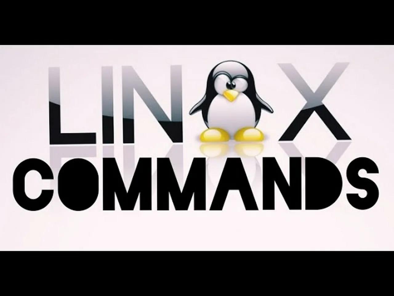 Amazing Linux Commands You NEED TO KNOW