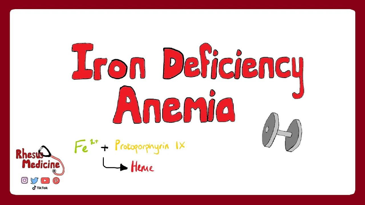 IRON DEFICIENCY ANEMIA: Causes, Clinical Features, Pathophysiology ...