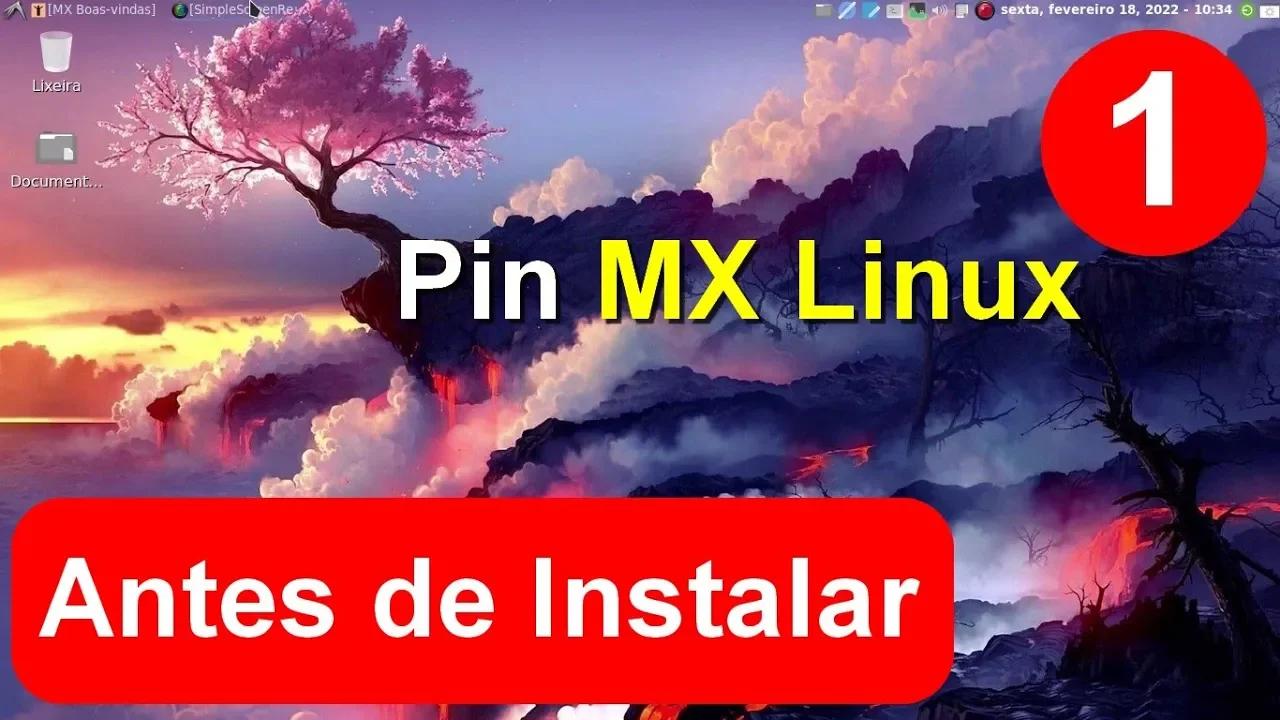 1- Pin Linux OS - Considerações Iniciais antes de Instalar Dual Boot ...